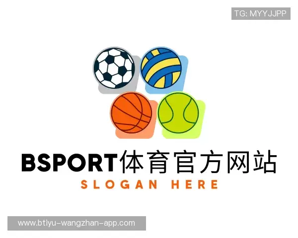 介绍bsport体育